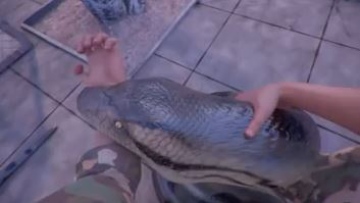 Photo: ${params.title}