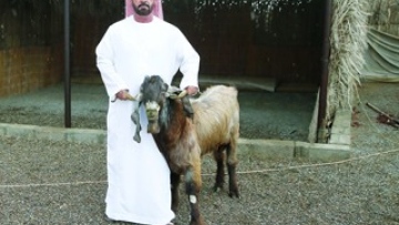 Photo: ${params.title}