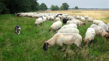 Photo: ${params.title}