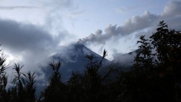 Photo: ${params.title}