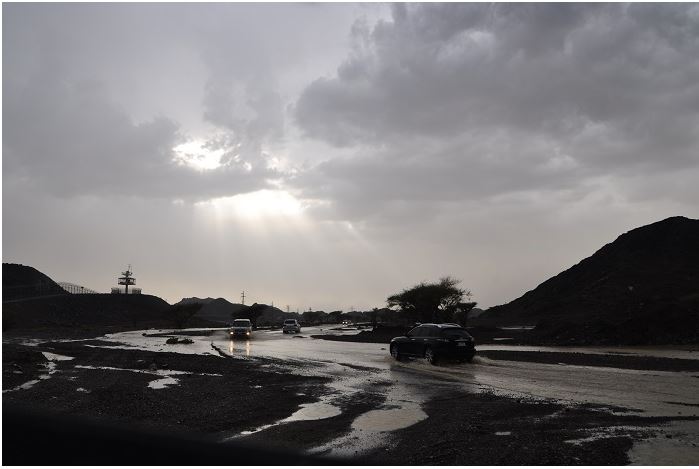 Rain was reported across the Western Region. (Pic: Emarat Al Youm)