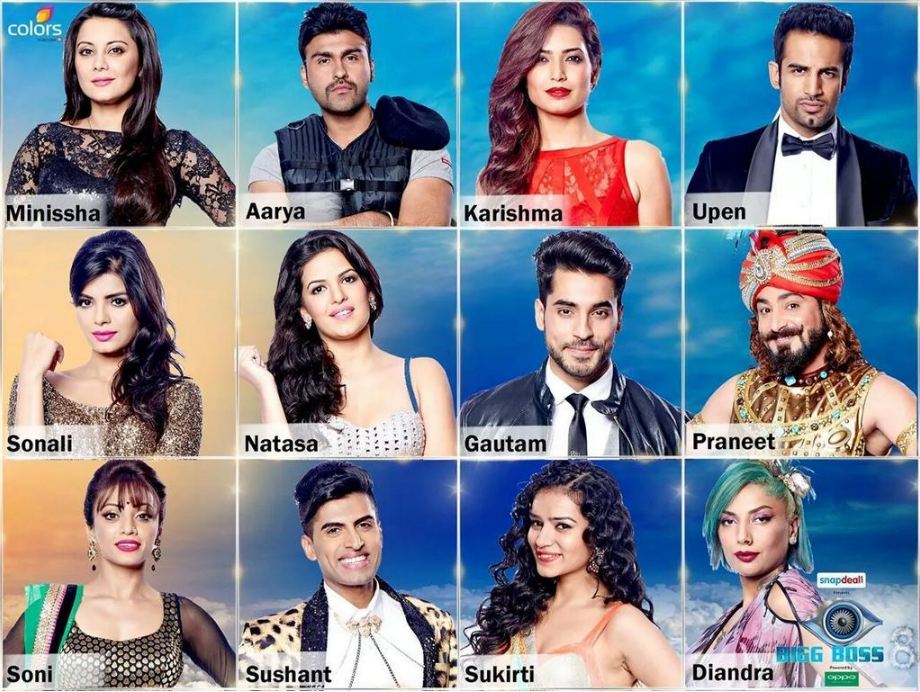 Bigg Boss 8: Contestants you would love 