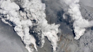 Photo: ${params.title}