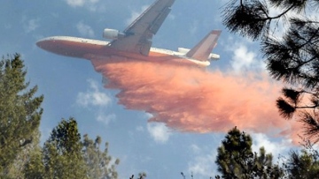 Photo: ${params.title}