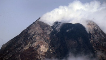 Photo: ${params.title}