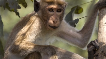 Photo: ${params.title}