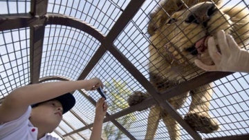 Photo: ${params.title}