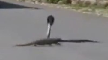 Photo: ${params.title}