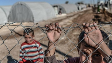 Photo: ${params.title}