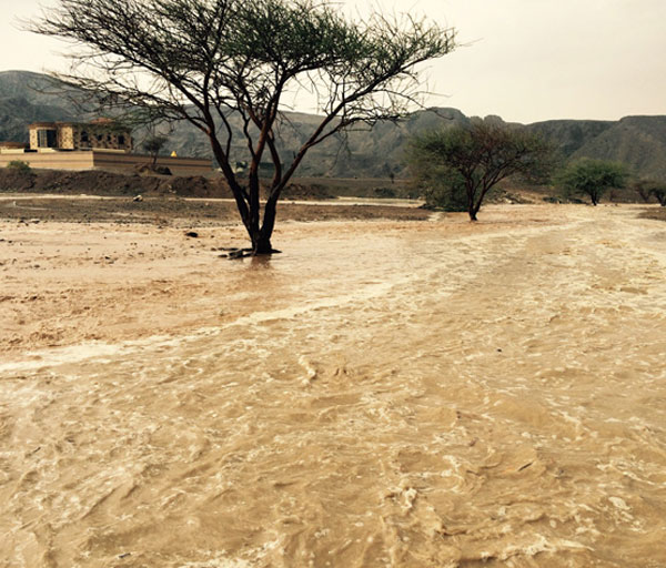Northern areas of the emirate got medium rains [Courtesy: Al Bayan]