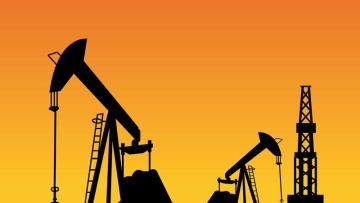 Photo: ${params.title}