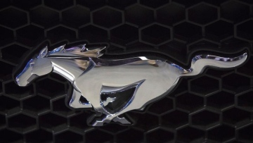 Photo: ${params.title}