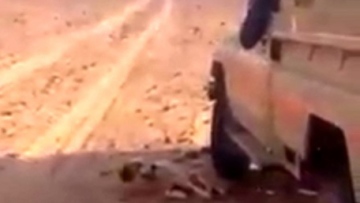 Photo: ${params.title}