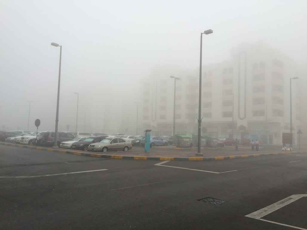Fog near Abu Dhabi Airport Road. Image courtesy Emirates 24|7 Reader John Rajan Poulose