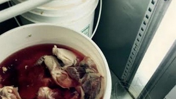 Photo: ${params.title}