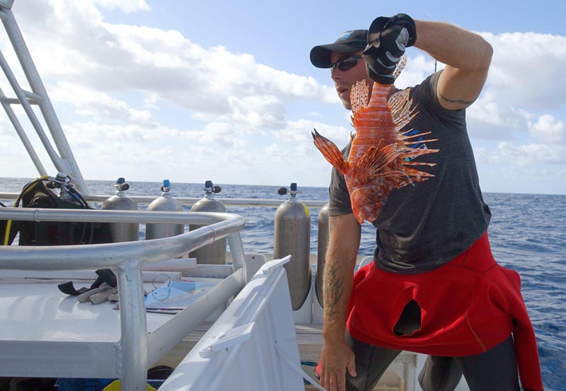Diver Eric Billips holds up an invasive lionfish caught during the Winter Lionfish Derby in the waters off Islamorada, Florida on February 8, 2015. (AFP)