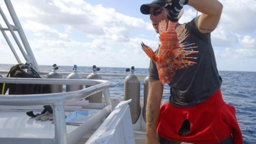 Photo: ${params.title}