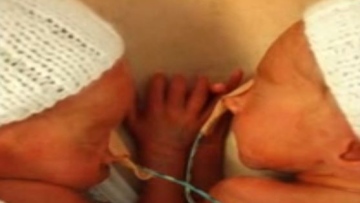 Photo: ${params.title}