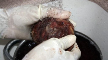 Photo: ${params.title}