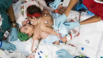 Photo: ${params.title}