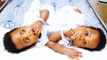 Photo: ${params.title}