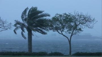 Photo: ${params.title}