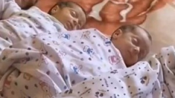 Photo: ${params.title}