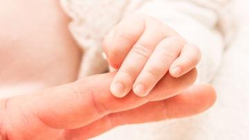 Photo: ${params.title}