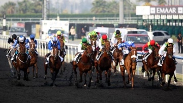 Photo: ${params.title}