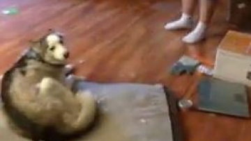 Photo: ${params.title}