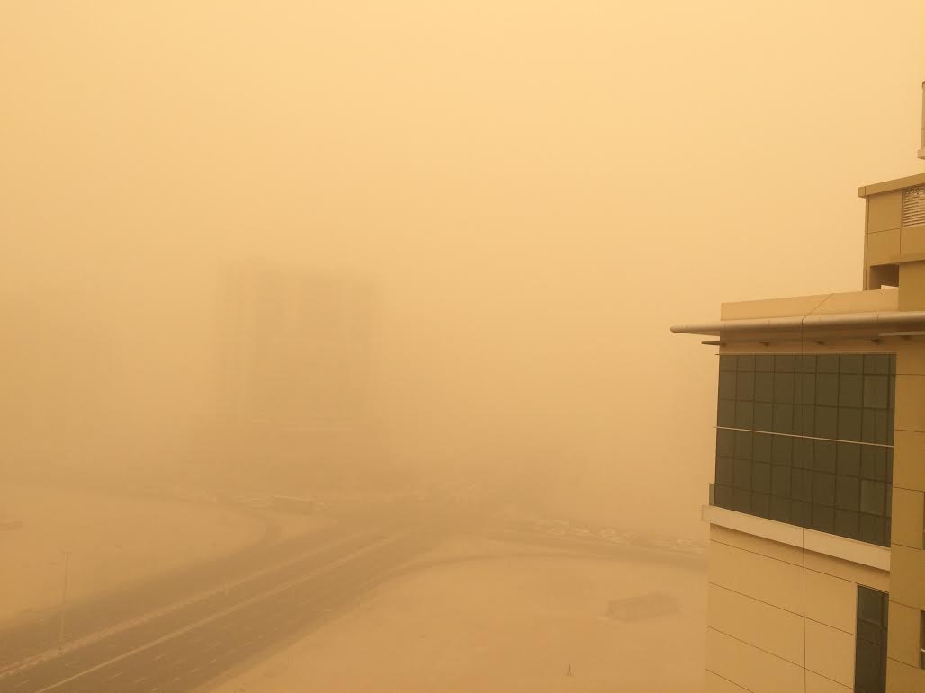 Image shared by Roi Bini from Al Nahda, Dubai