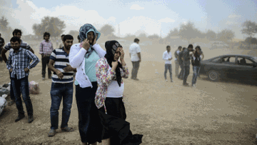 Photo: ${params.title}