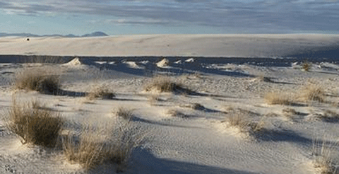 A National Parks spokesman said there was no shade or water along any of the trails in the dune-filled White Sands National Monument. (Pic: CBS @ Twitter)