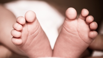 Photo: ${params.title}