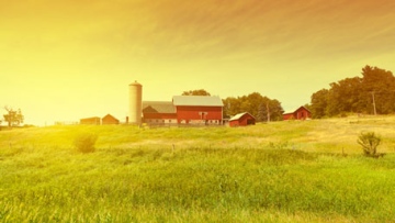 Photo: ${params.title}