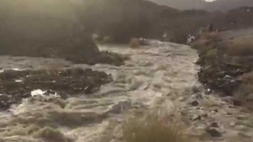 Photo: ${params.title}