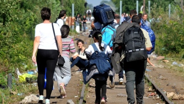 Photo: ${params.title}