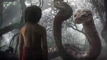 Photo: ${params.title}