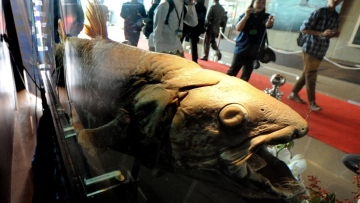 Photo: ${params.title}