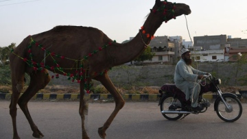 Photo: ${params.title}