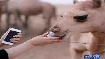 Photo: ${params.title}