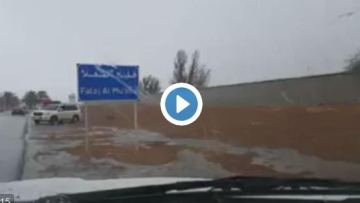 Photo: ${params.title}