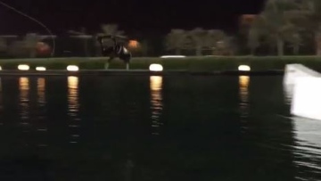 Photo: ${params.title}