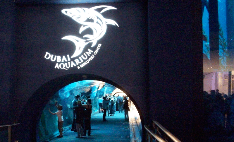 Dubai Mall Aquarium S New Offers News Emirates Emirates24 7