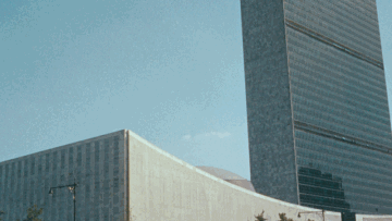 Photo: ${params.title}