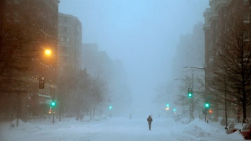 Photo: ${params.title}