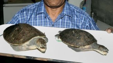 Photo: ${params.title}