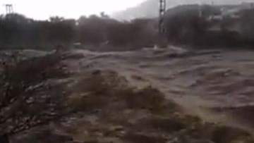 Photo: ${params.title}