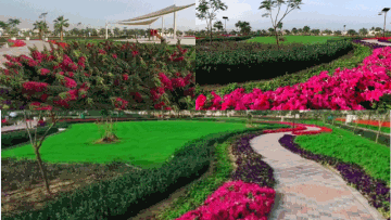 Photo: ${params.title}