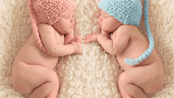 Photo: ${params.title}